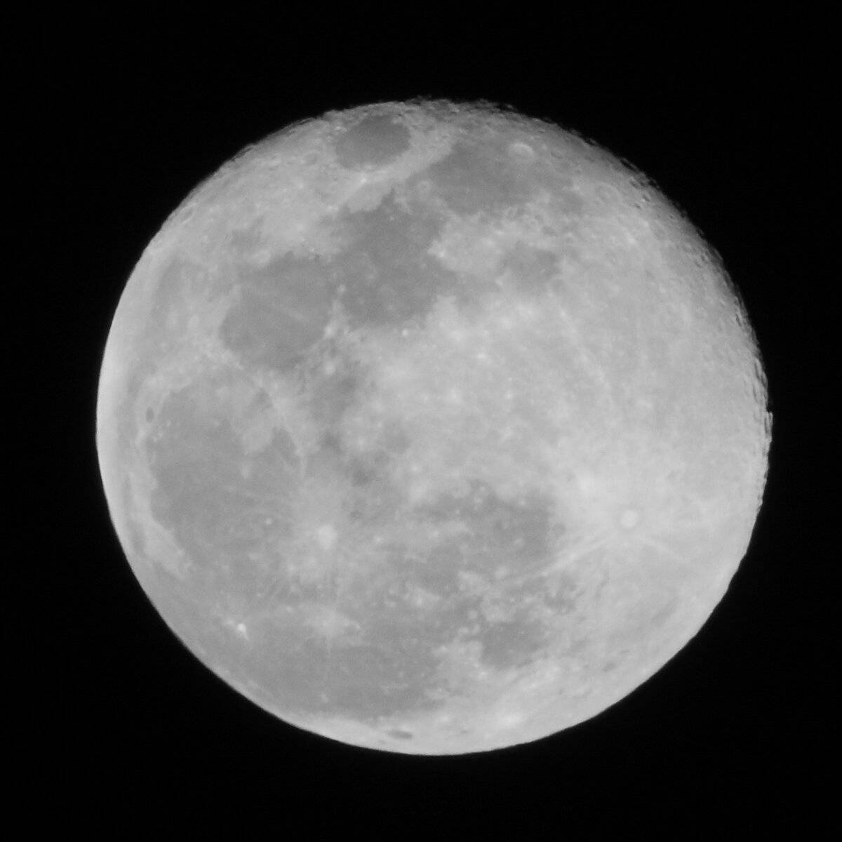 03 Luna de Nieve 20 Febreo 2019 07.JPG