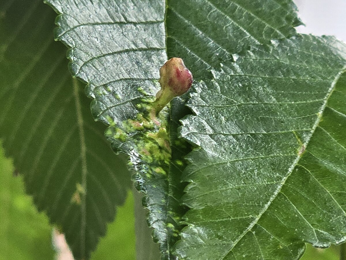 1000112975.jpg