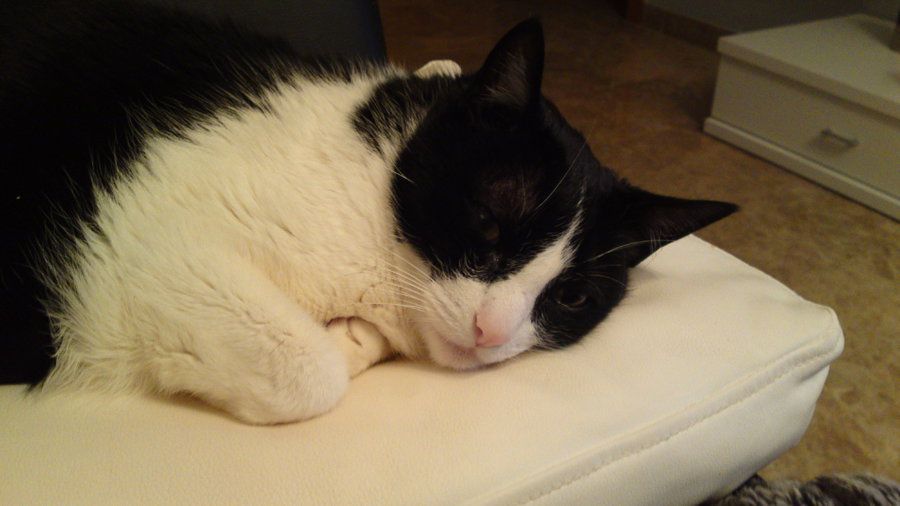 10022010029.JPG