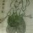 110809.jpg