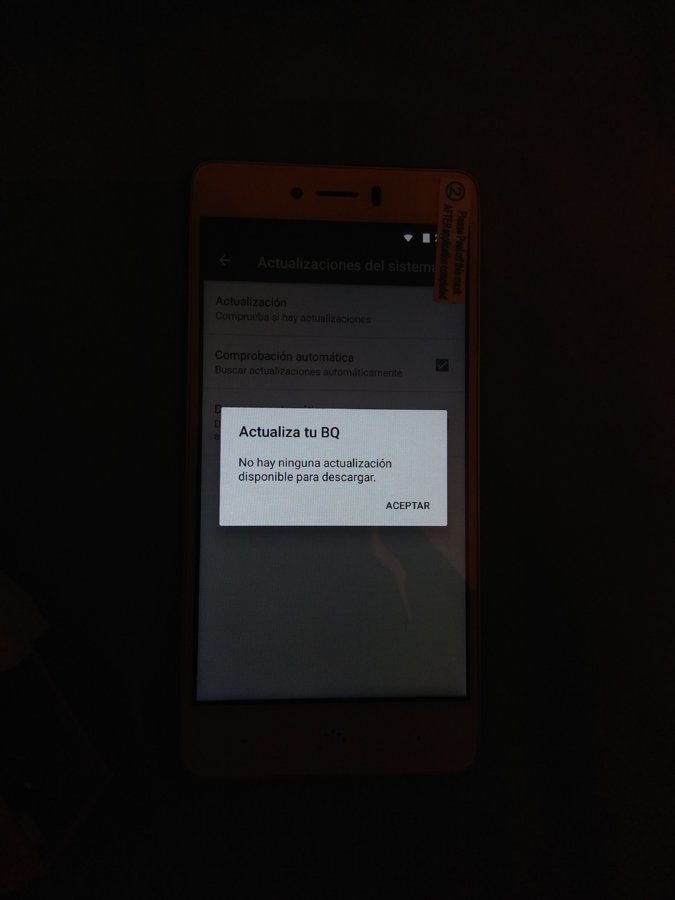 1495055967131396994726.jpg