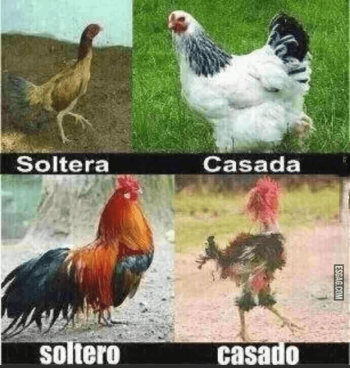 1571063618306.png