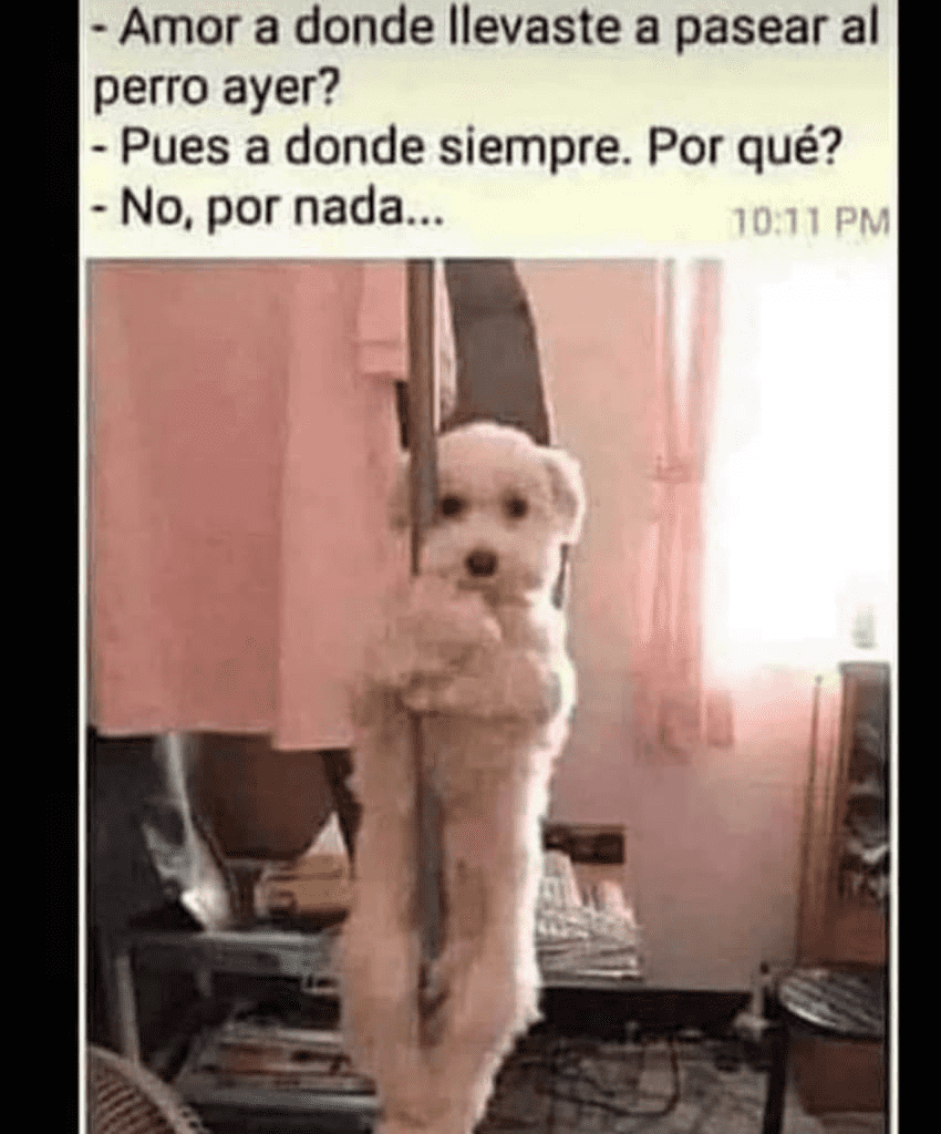 1577891867813.png