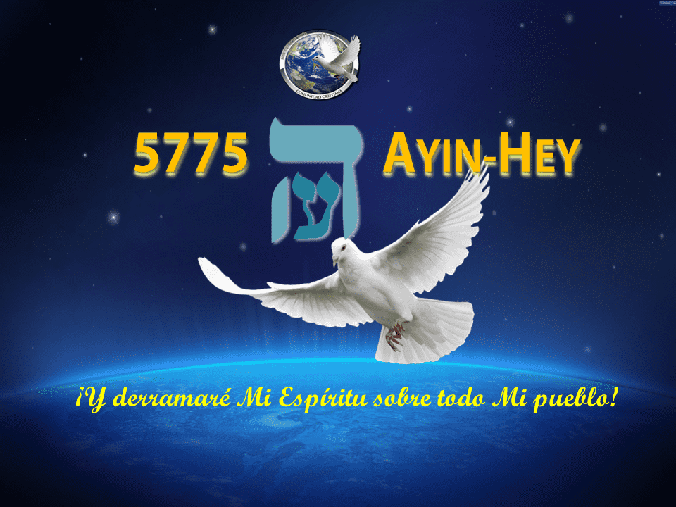 1582019547566.png