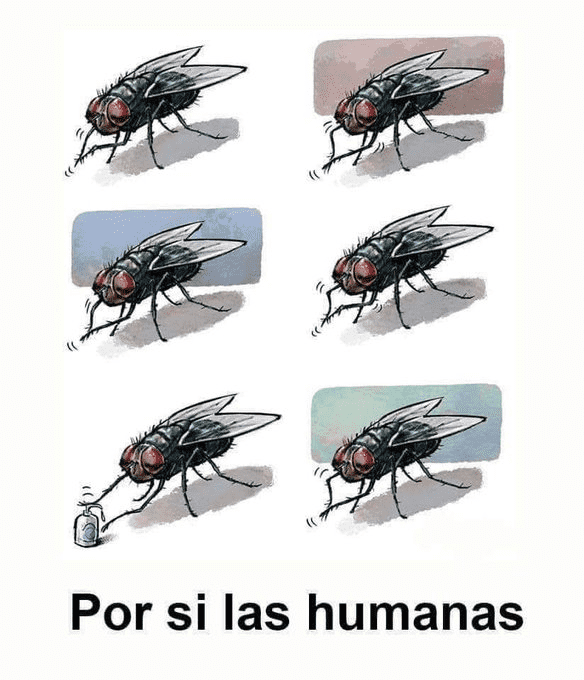 1589551434035.png