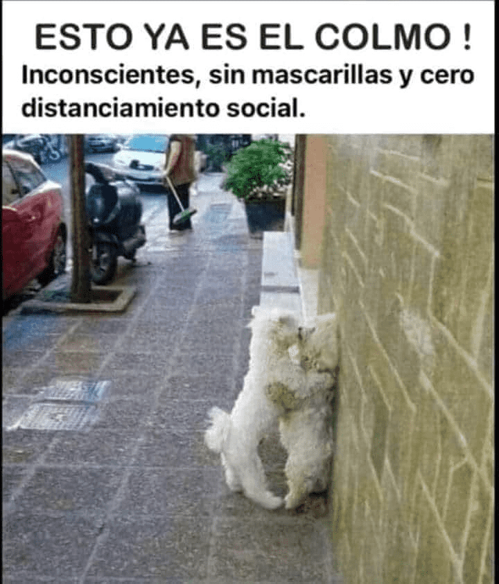 1599578473639.png