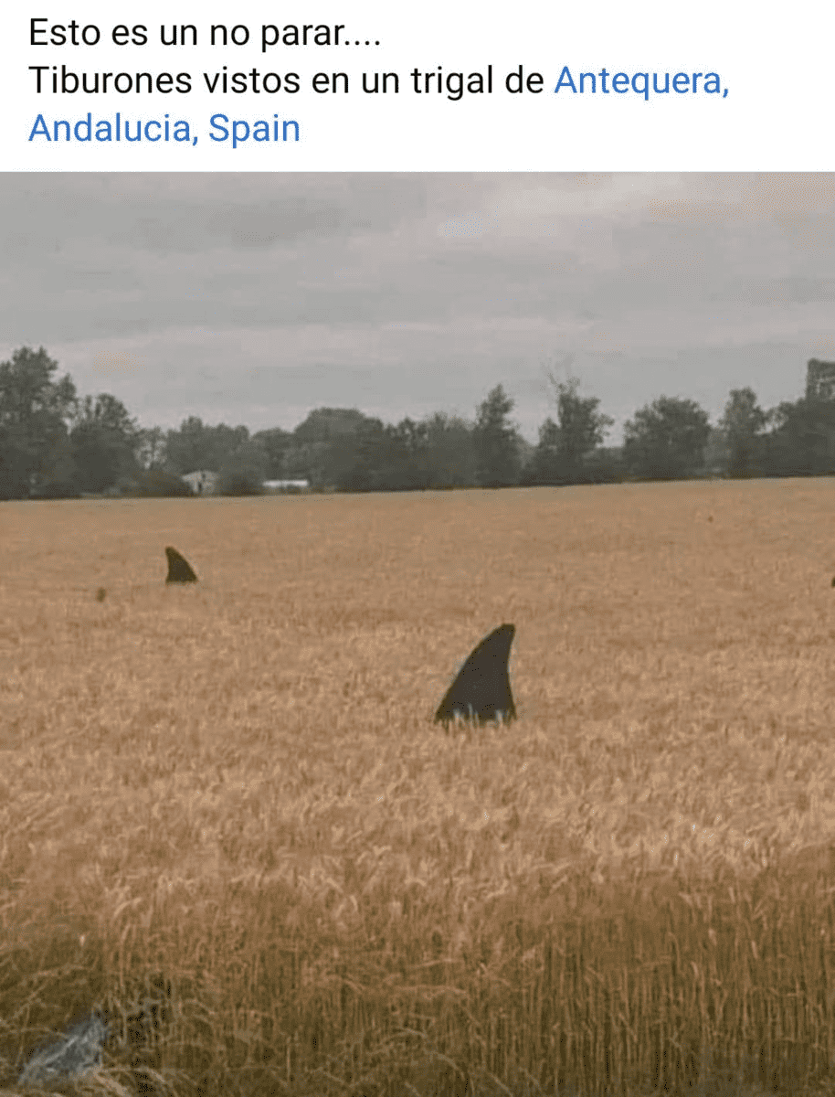 1600617851559.png
