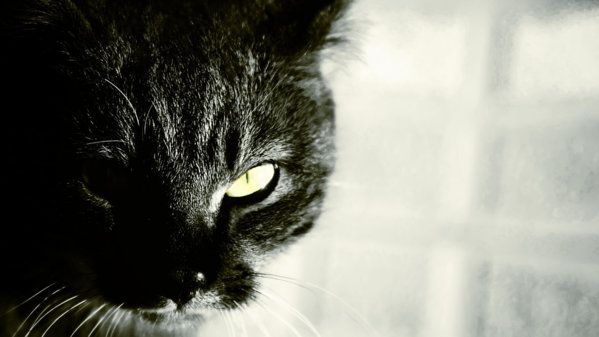 16042893188_5d382e01da_b.jpg