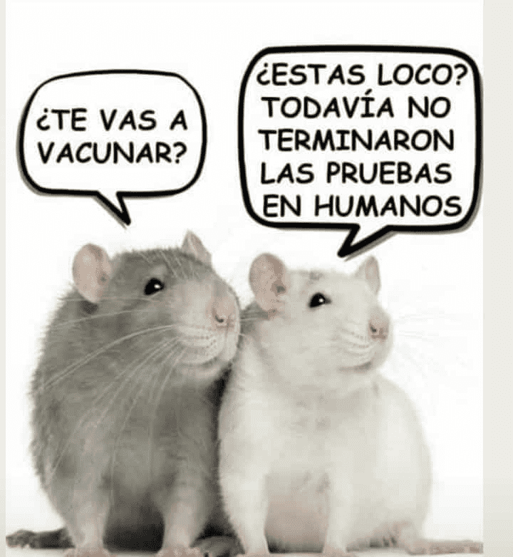 1607601543642.png