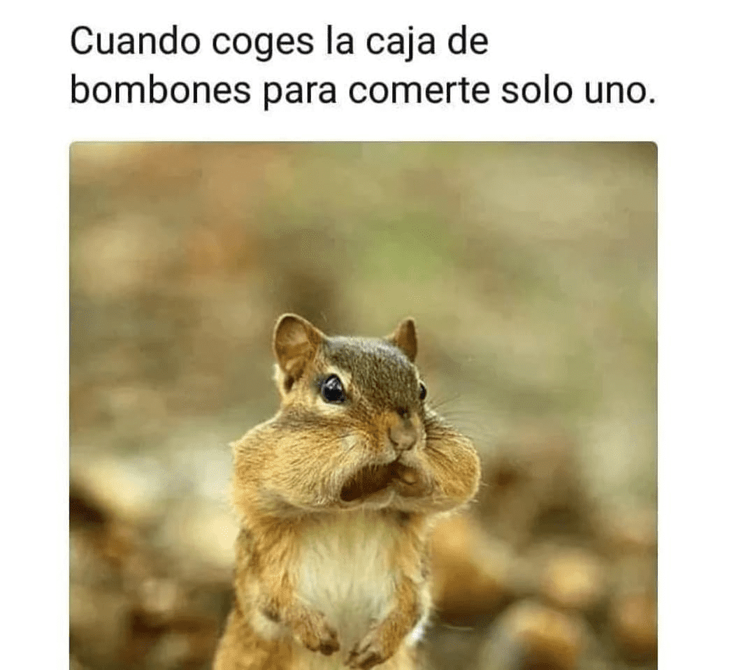 1608822973939.png