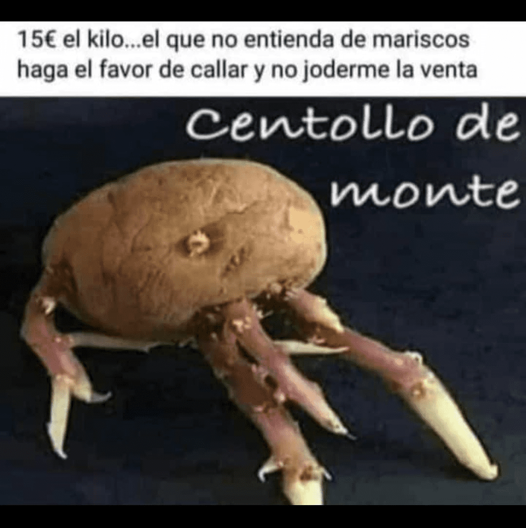 1608823629606.png