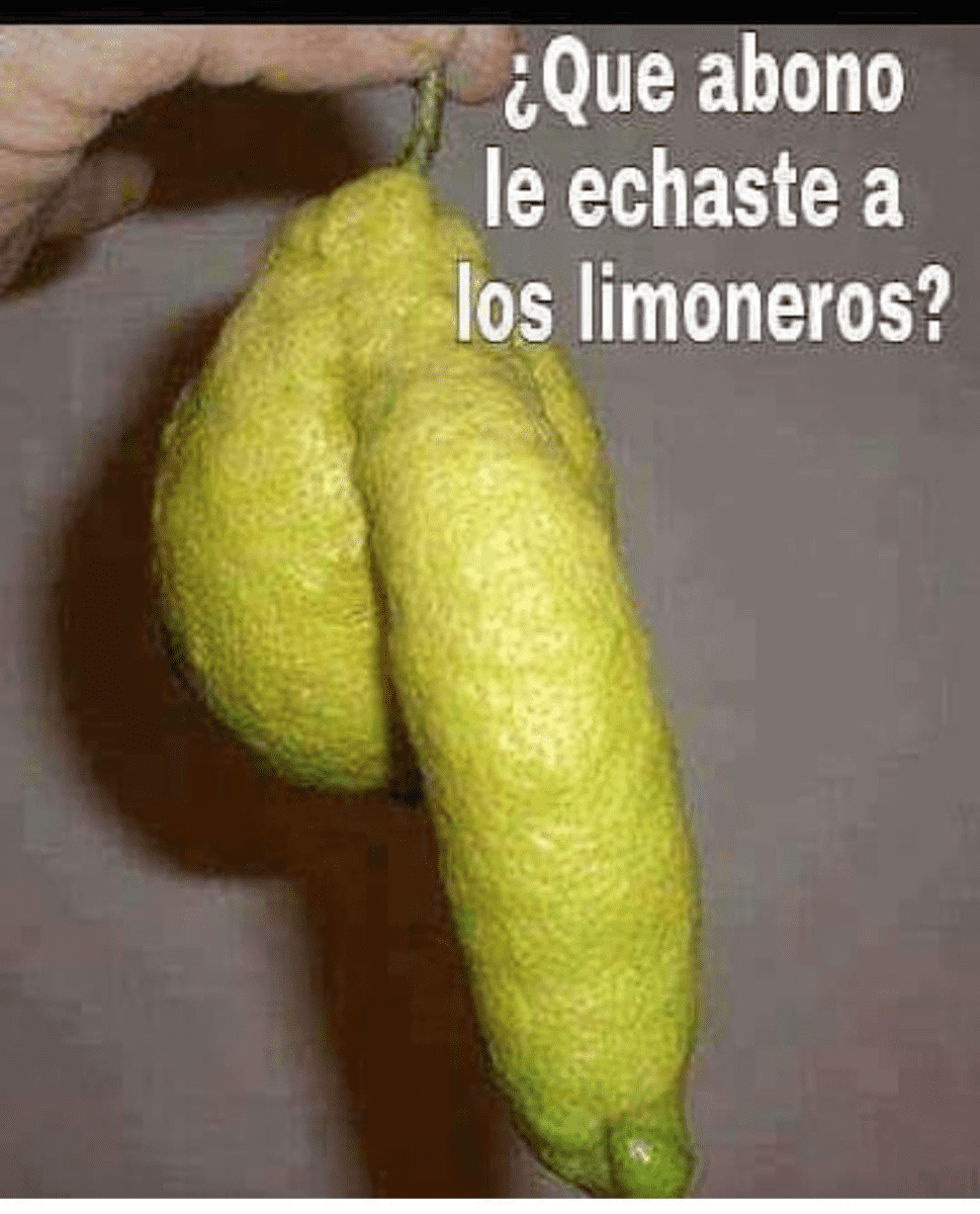 1622901551916.png
