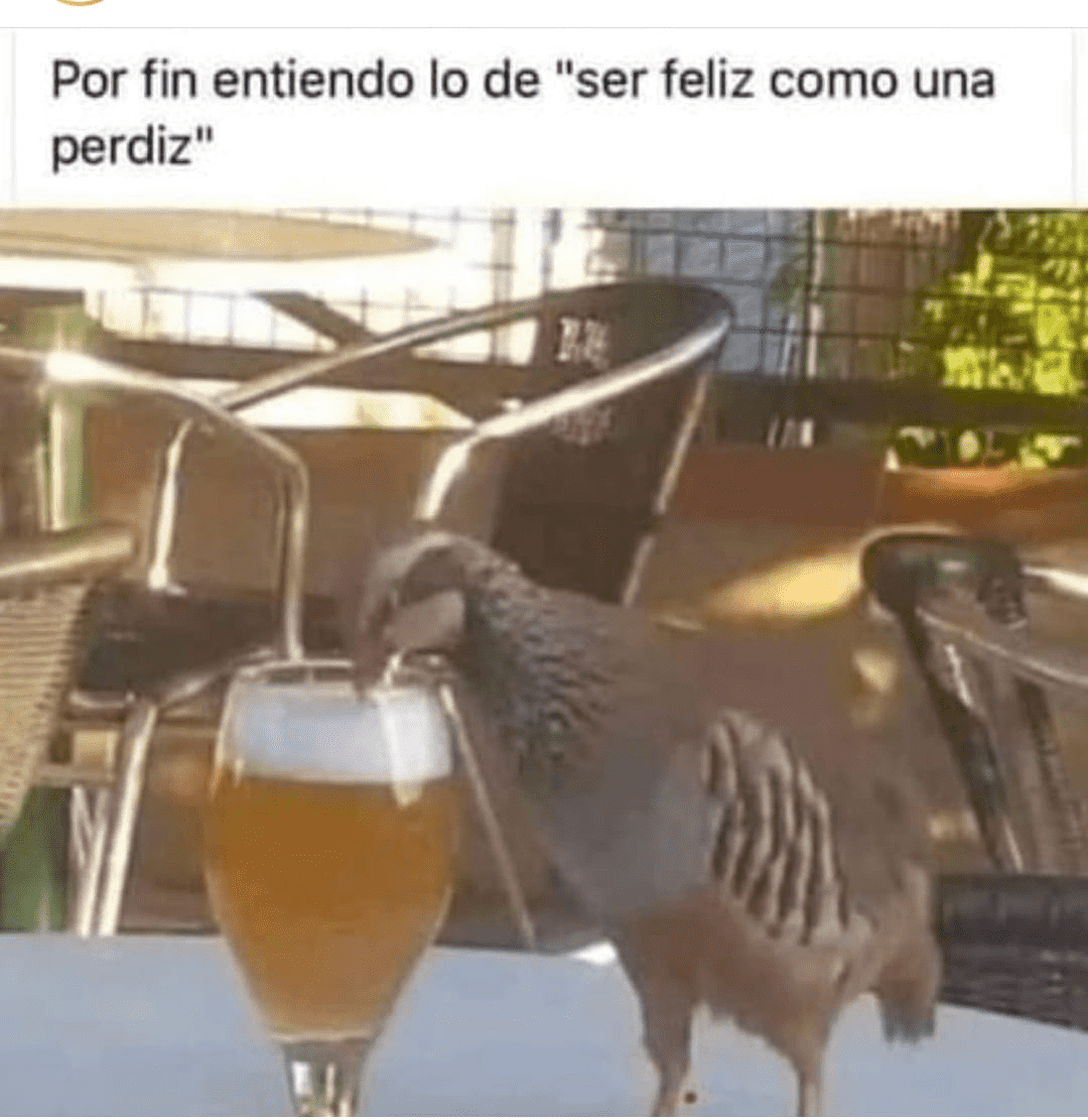 1627742503600.png