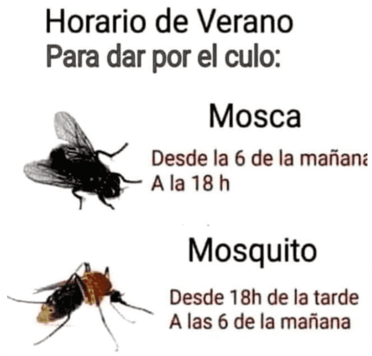 1652818635517.png