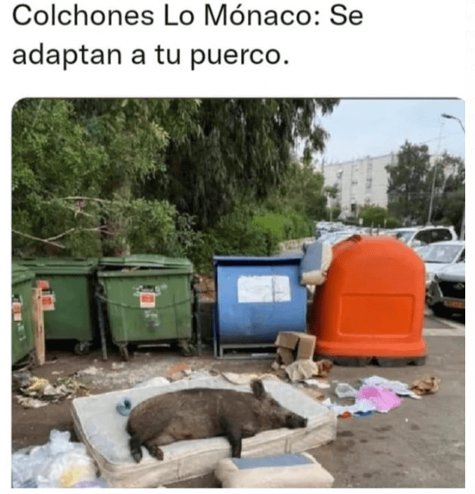 1654536472093.png