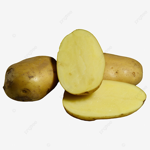 1668439919408.png