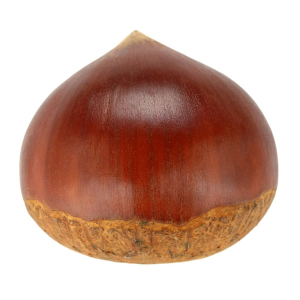 1708269036830.png