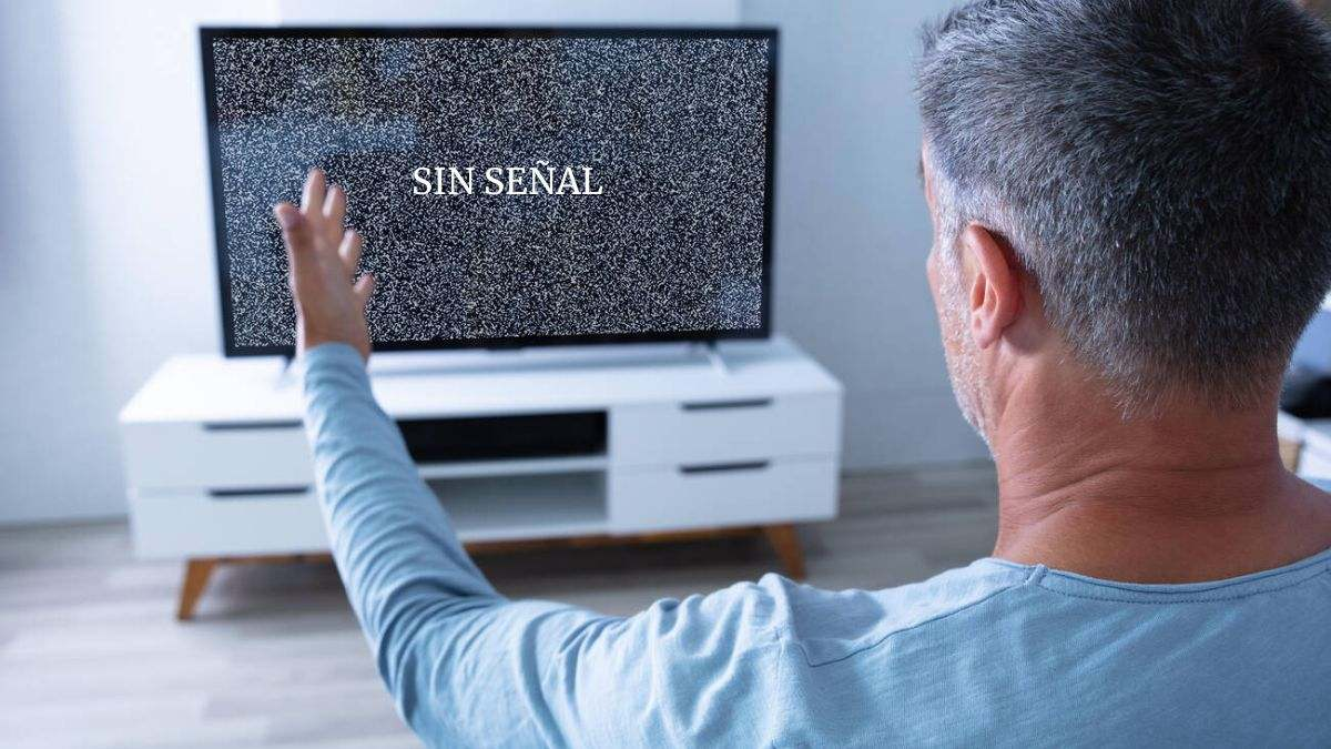 1733929039318.png