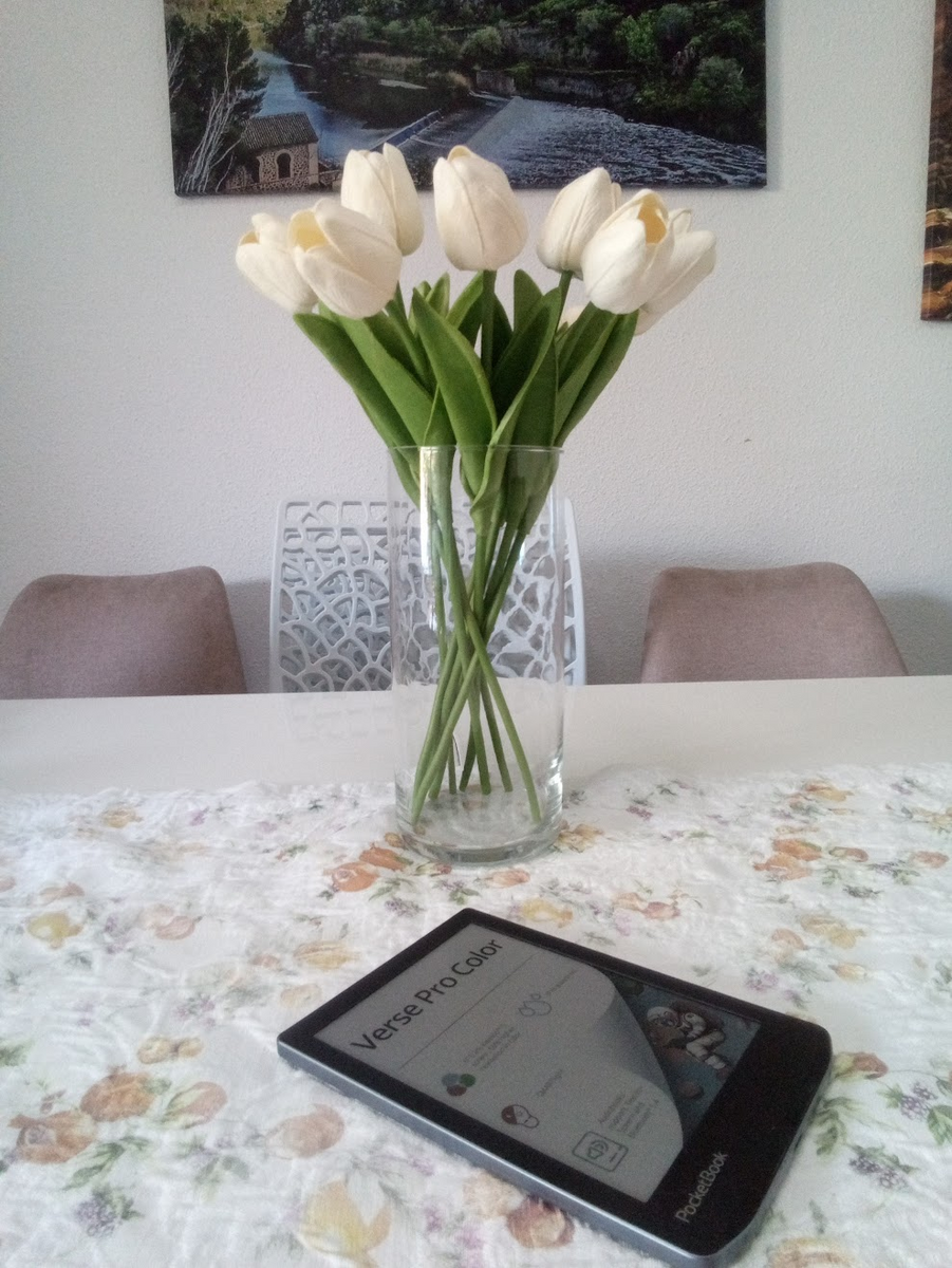 Foto tomada con la PocketBook InkPad Eo en interiores