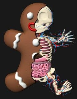 2.bp.blogspot.com__gUD4tqJApwA_T7AqpEYzEhI_AAAAAAAABnc_0NfKCa7q70w_s320_anatomia_jengi_shrek__1_.jpg
