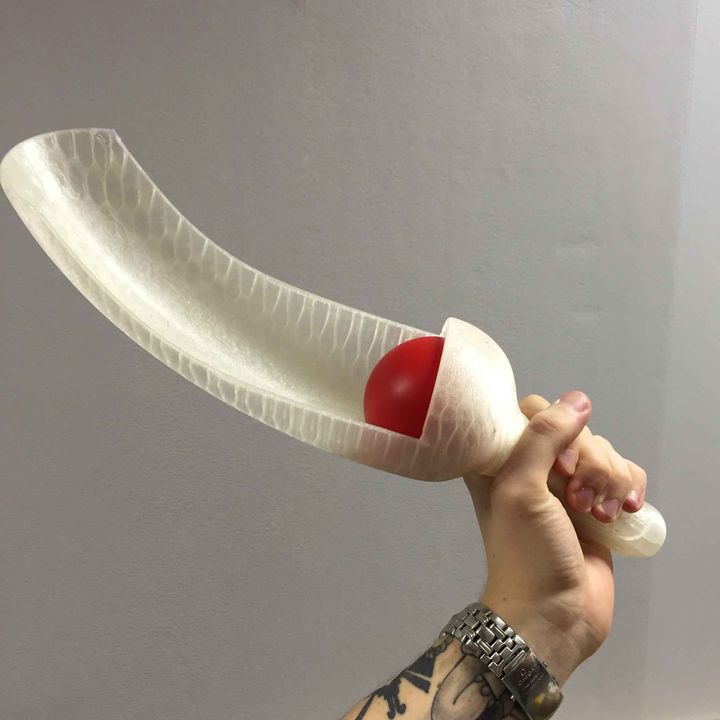 2-Lanzador-de-pelota.jpg