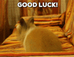 200.gif