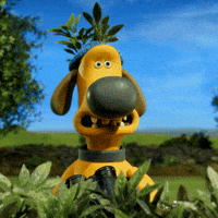 200.gif
