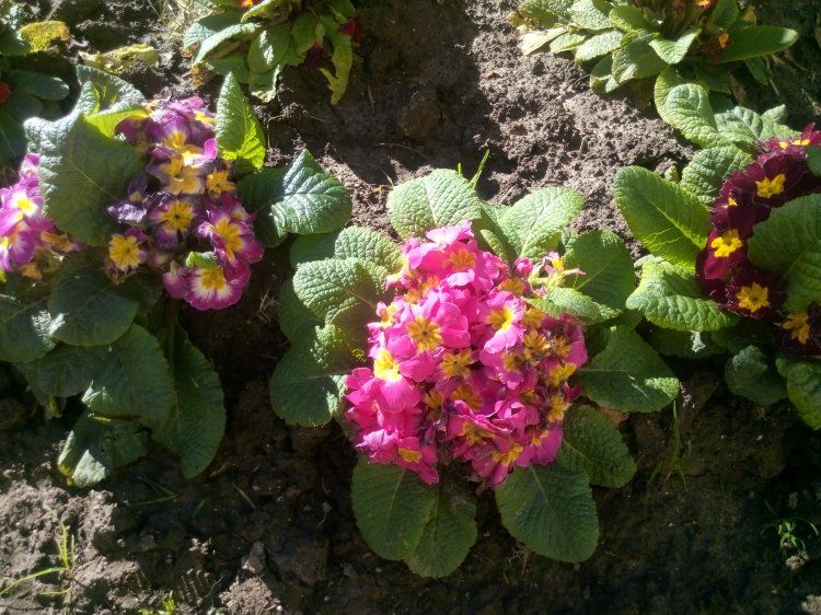 20140308_160255.jpg