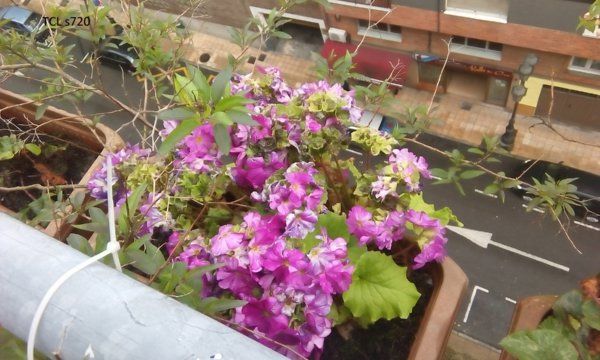 20150501115859.jpg