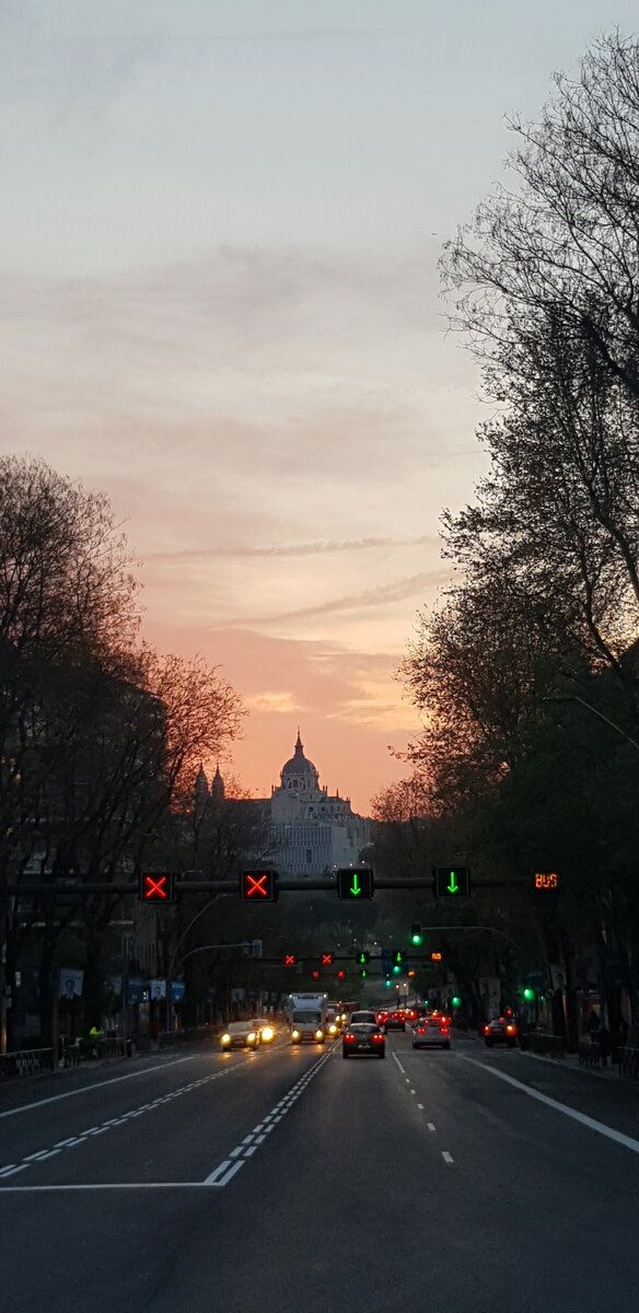 20190417_073348.jpg