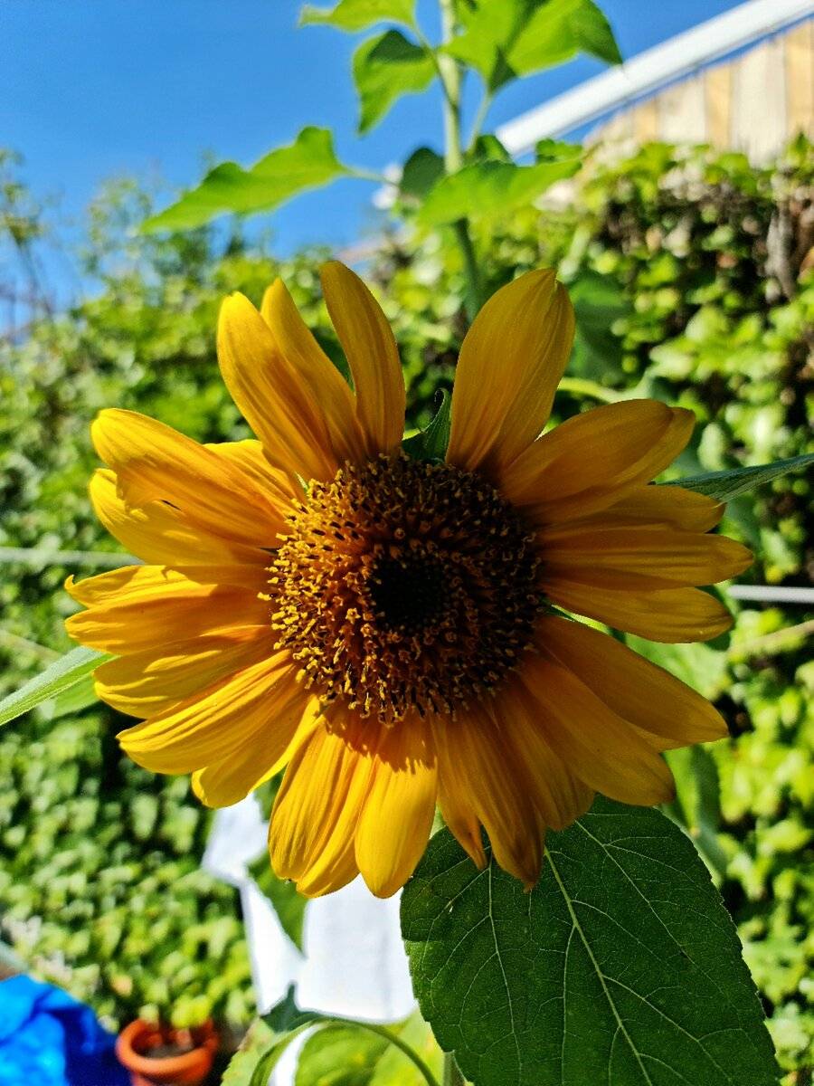 20210609_163029.jpg