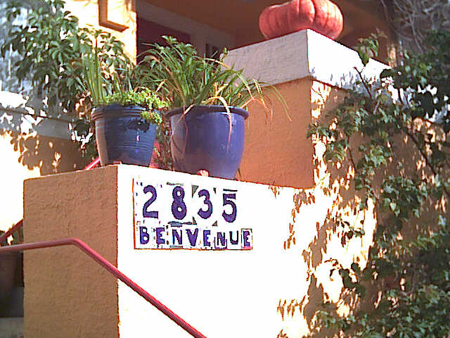 2835.jpg