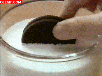 29.gif