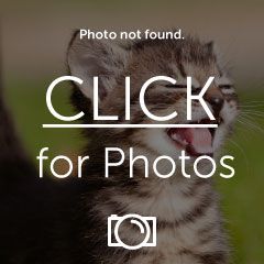 3_zps5a86d3f2.jpg