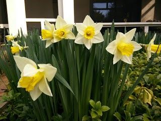 4.bp.blogspot.com__O_HHahVCWKk_Vf0K4zQLooI_AAAAAAAABD0_qgWm2vAelNs_s320_22.jpg
