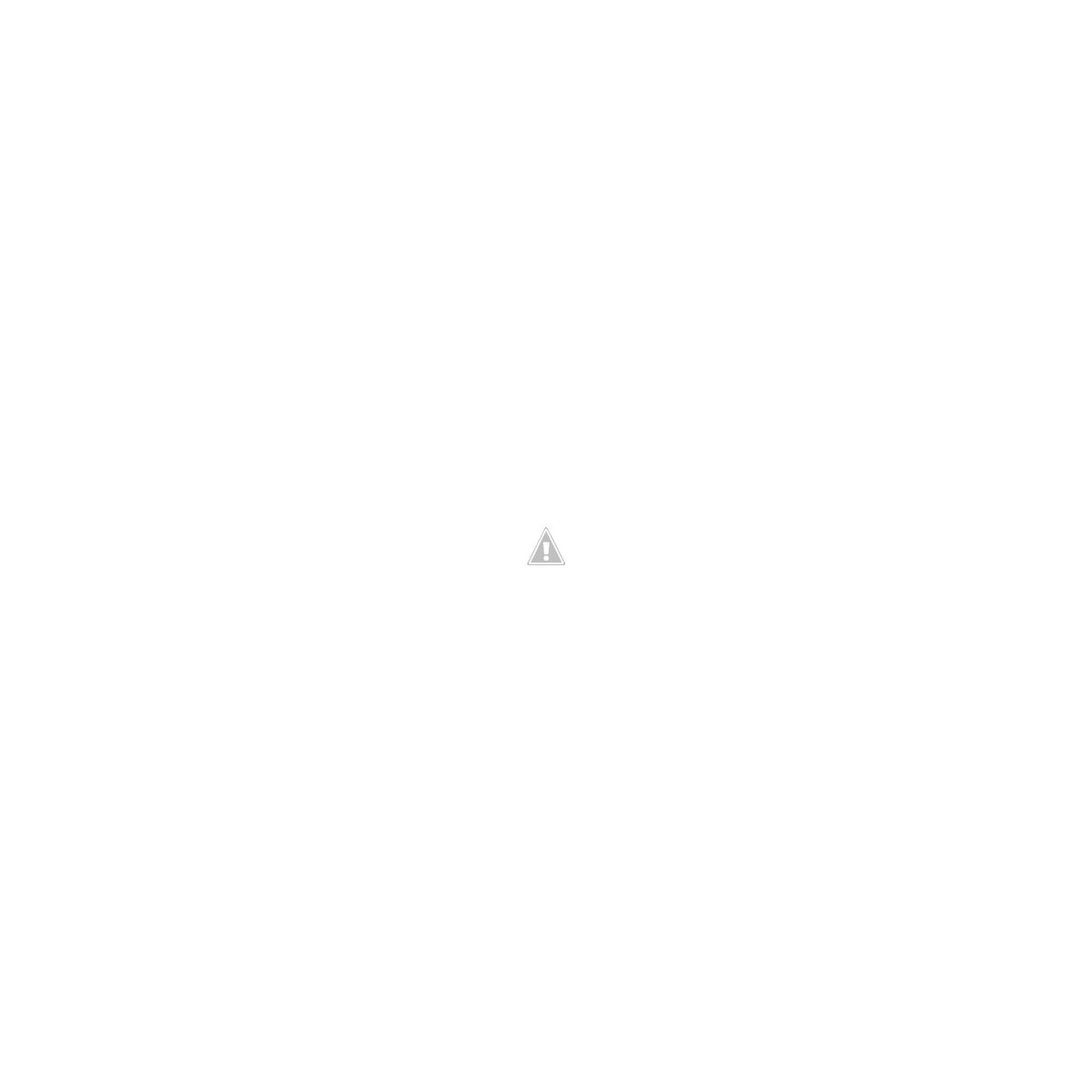 4238%2BPUTIH.png