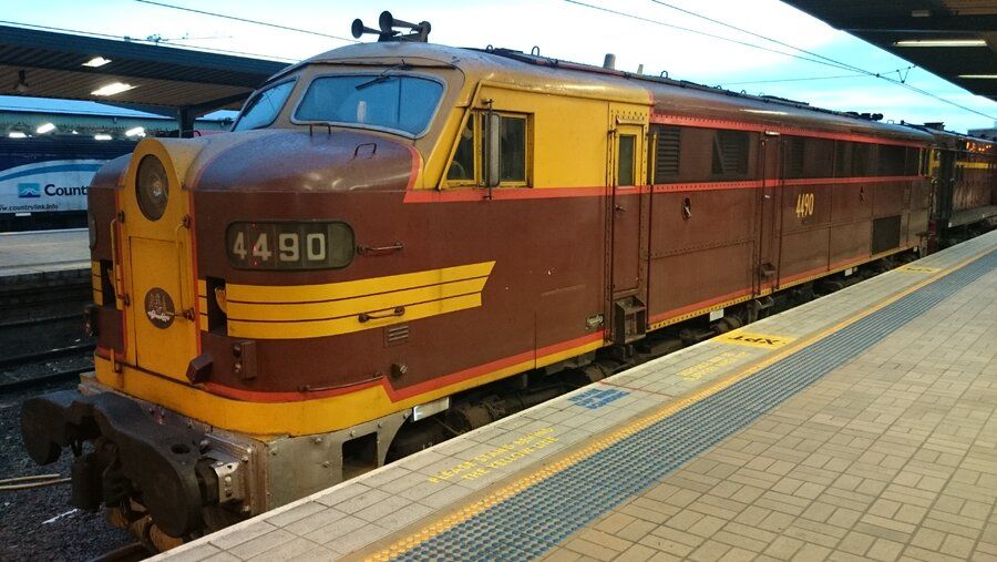 4490.jpg