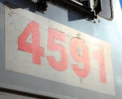 4591.jpg