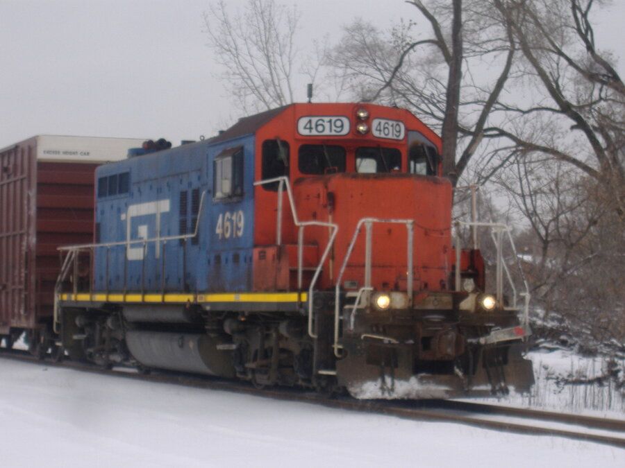 4619.jpg