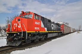 4647.jpg