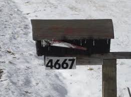 4667.jpg