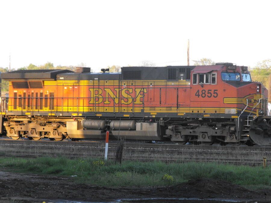 4855.jpg