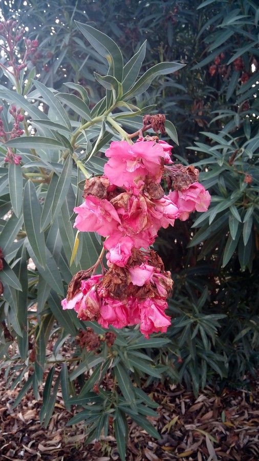 4aNk9Yj.jpg