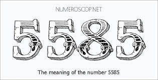 5585.png