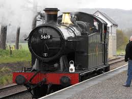 5619.jpg