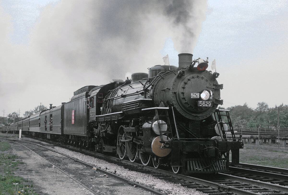 5629.jpg