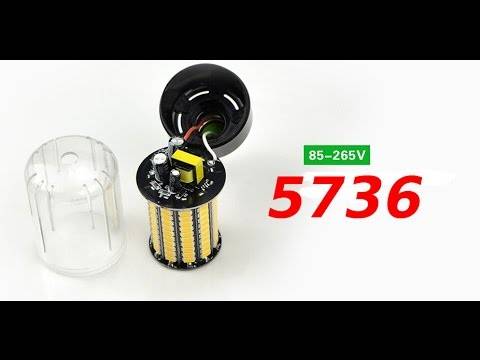 5736.jpg
