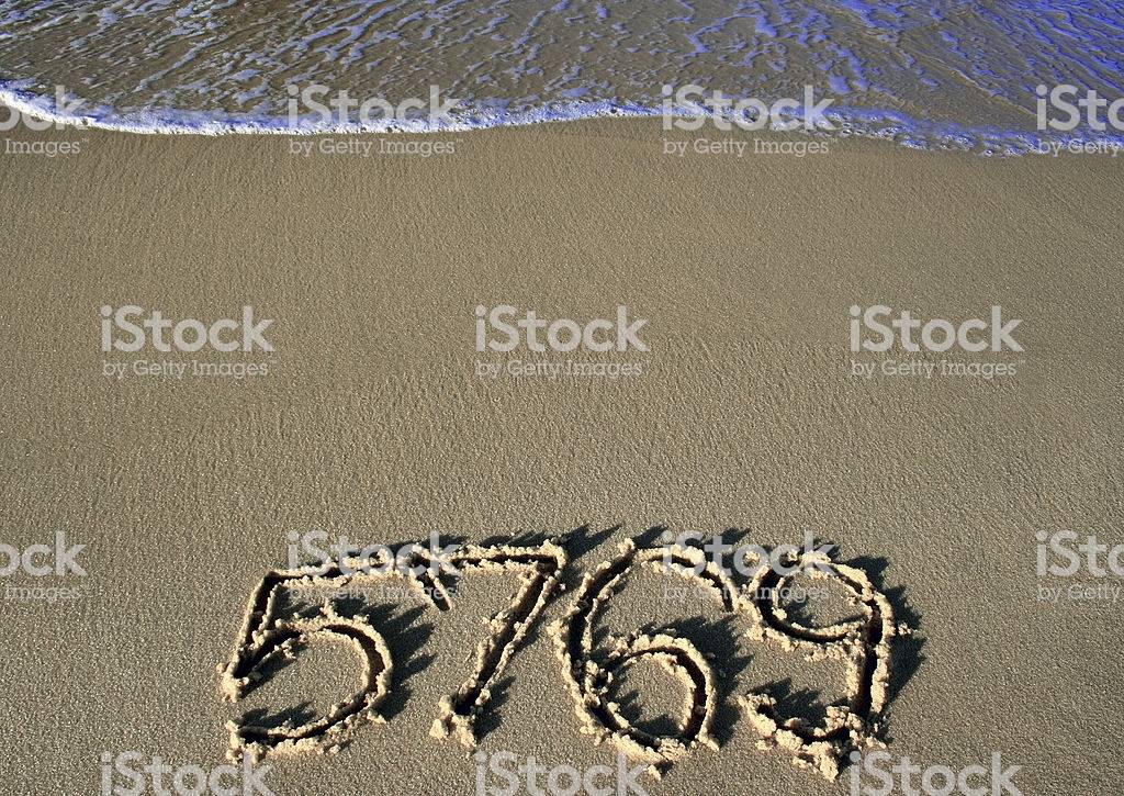 5769.jpg