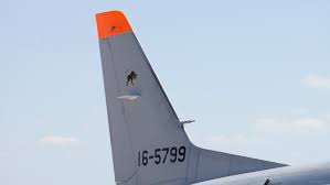 5799.jpg