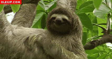 581cc4a9555e79da19538fec12e53d50.gif